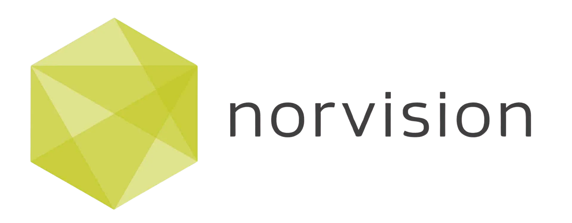 Norvision-Full-Logo